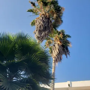 Sea Shell Palms, Couette-café
